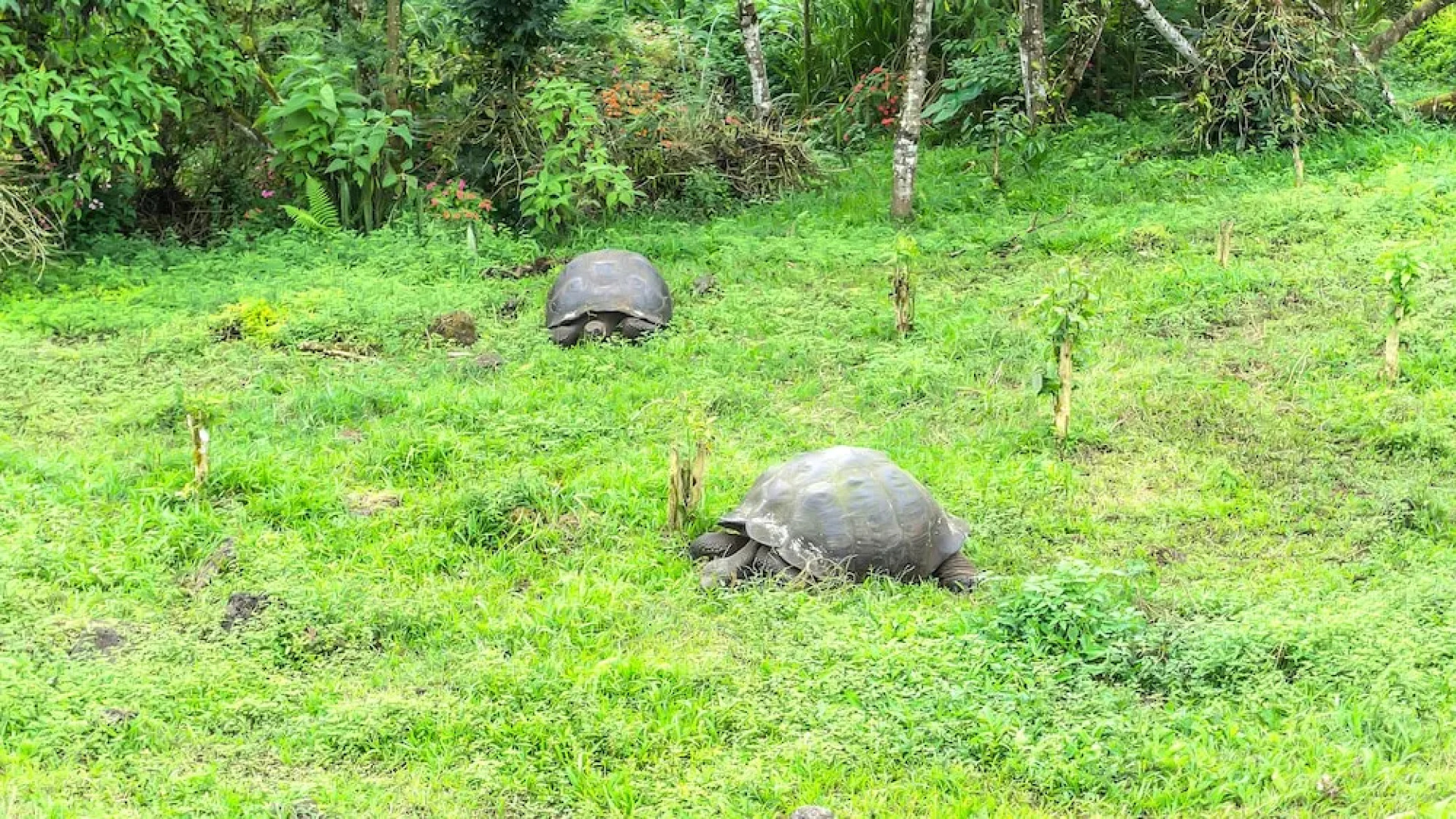 Semilla Verde Boutique Hotel