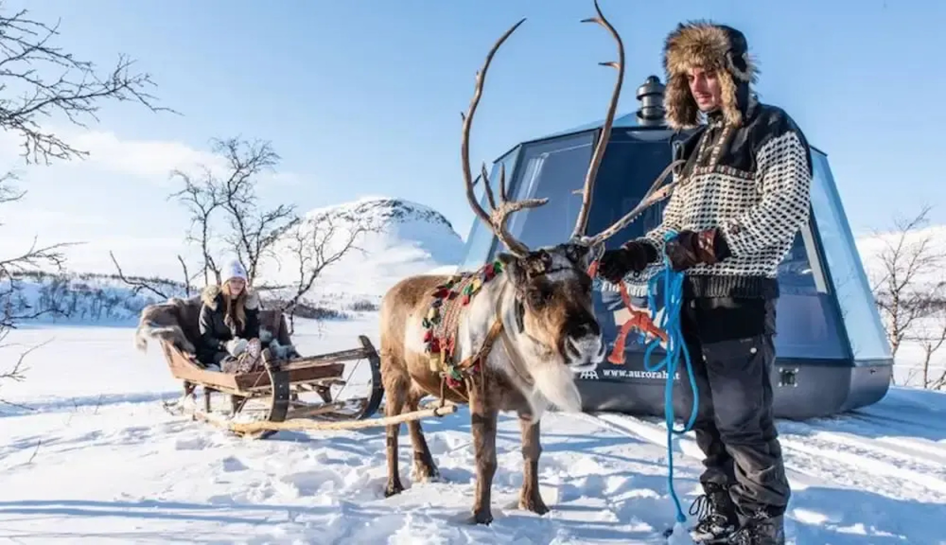 Room in Lodge - Peace & Quiet Hotel Floating Glass Room for 2 Guests Experience Northern Lights