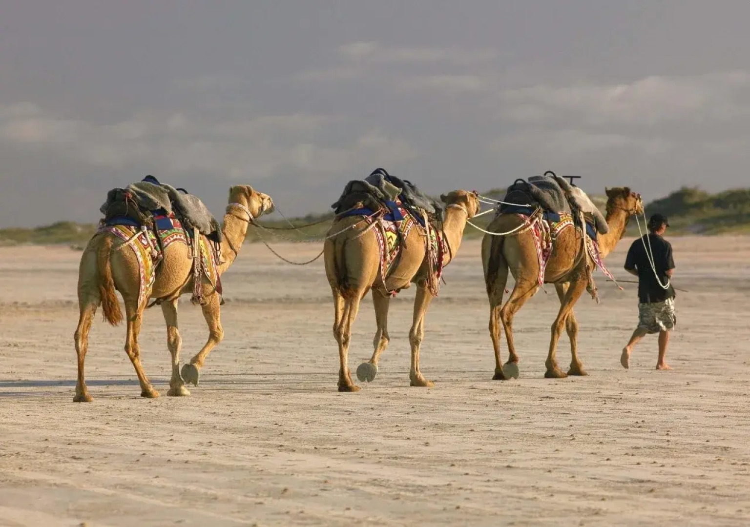 The Continental Hotel Broome