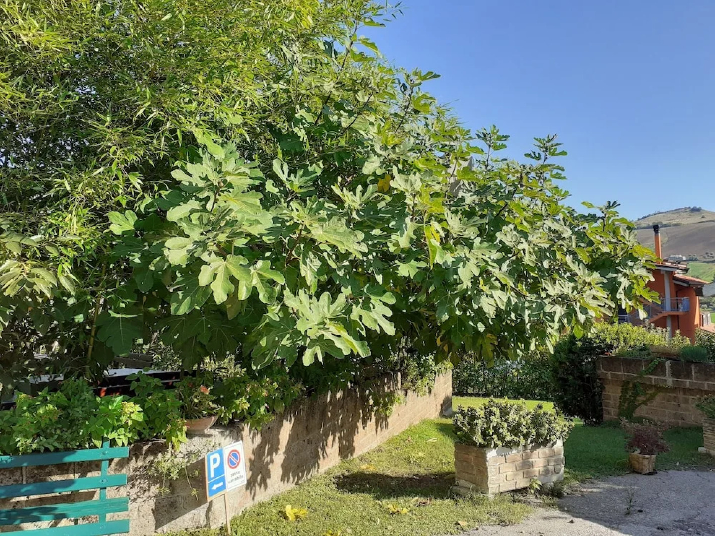 Pier delle Vigne B&B