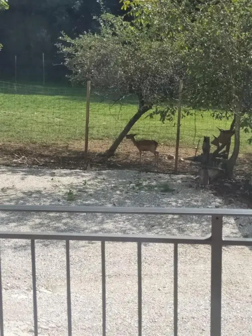 Alloggio e agriturismo De POANUTE