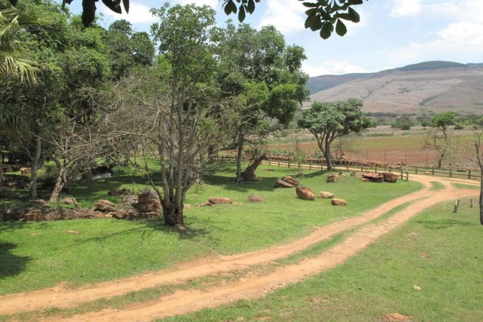 Caracal Lodge