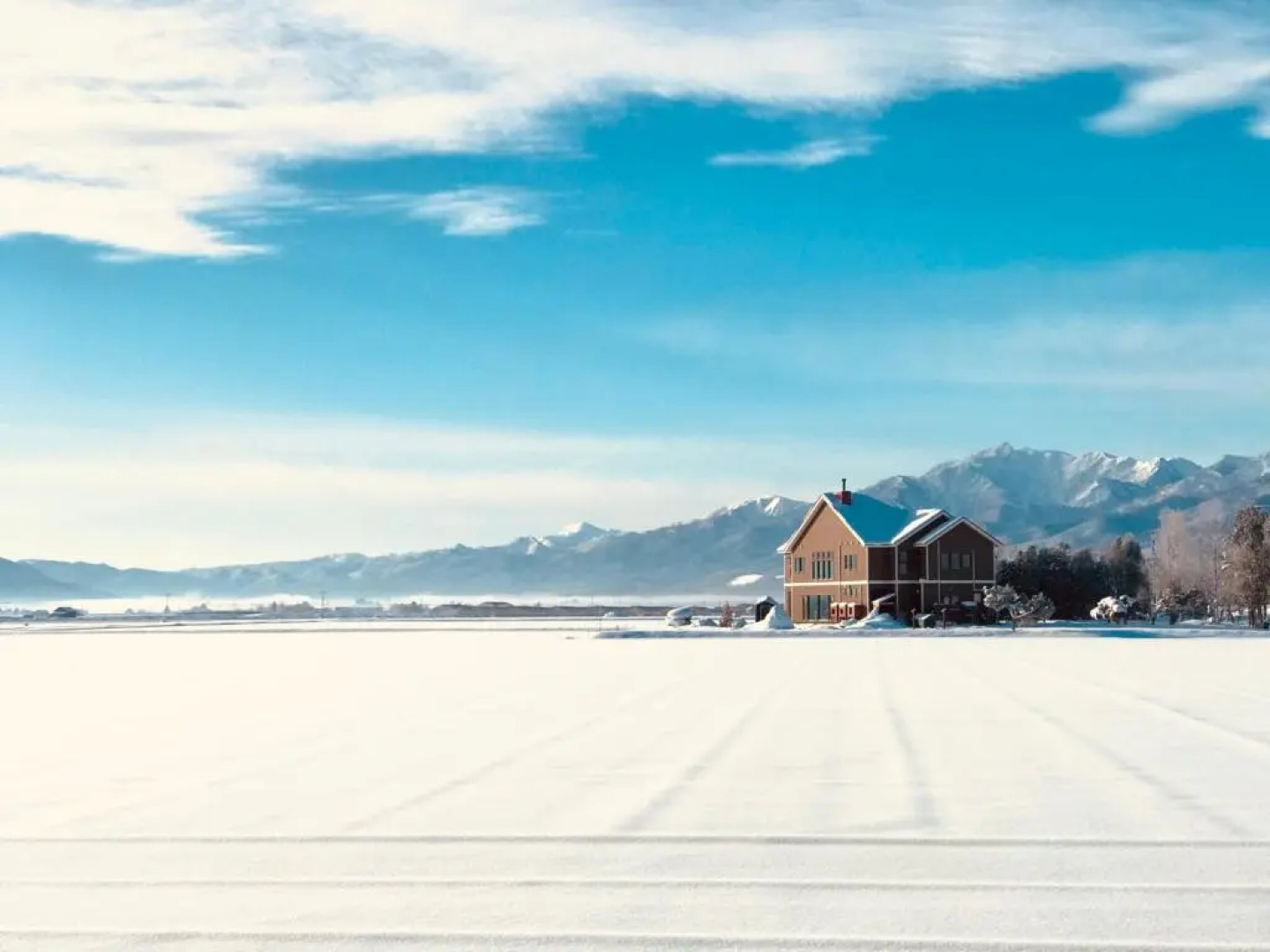 B&B Plus+ Shooting Star