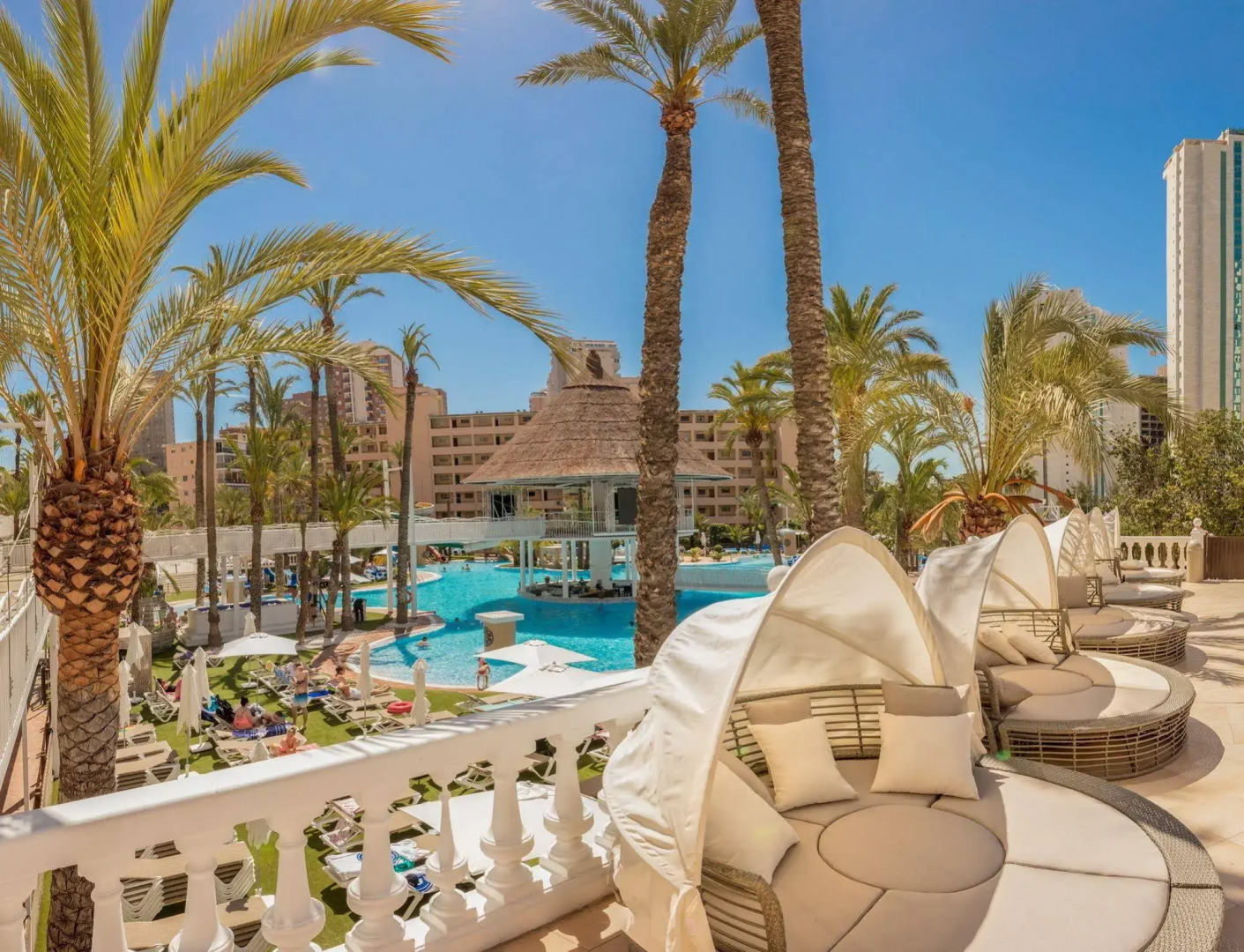 Magic Tropical Splash