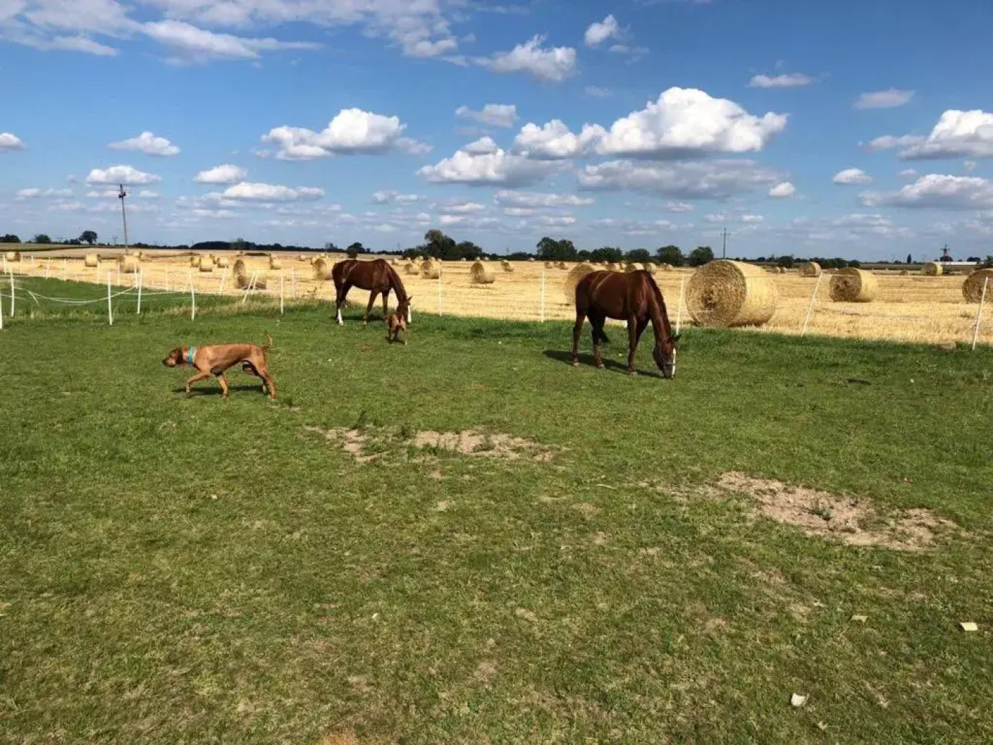 Willa Stara Wozownia