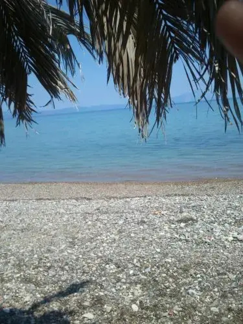 Evoikos beach & resort