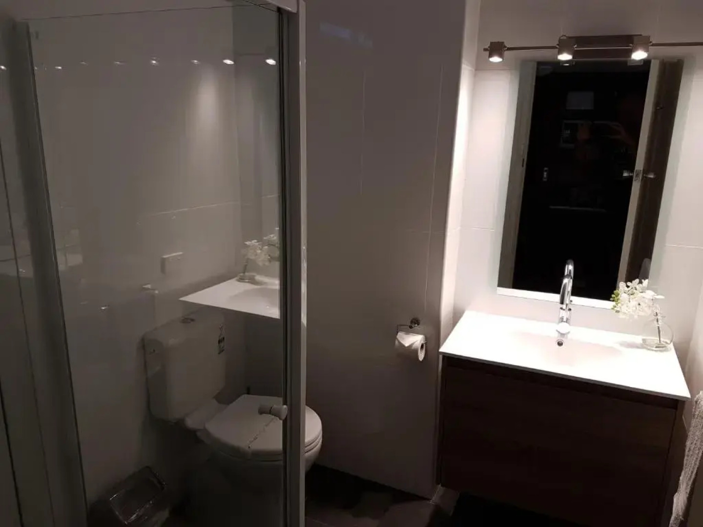 Sandpipers @ Millicent