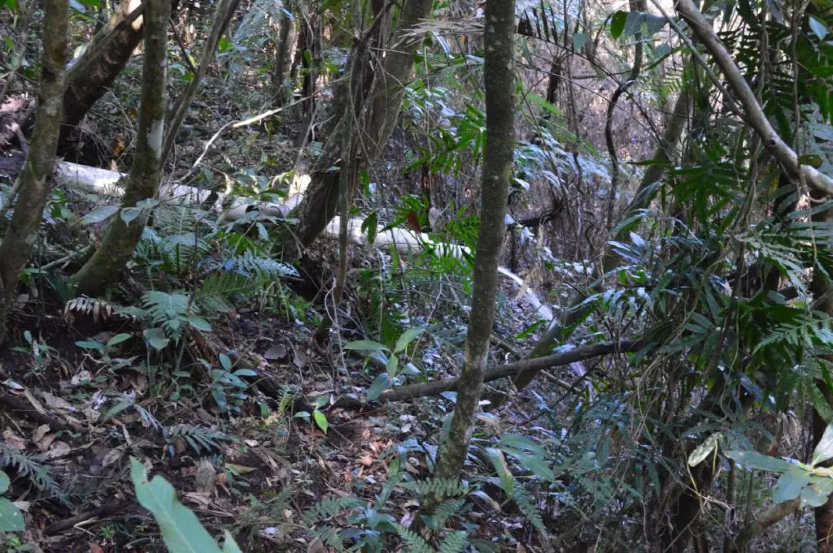 Pousada da Lua São Pedro