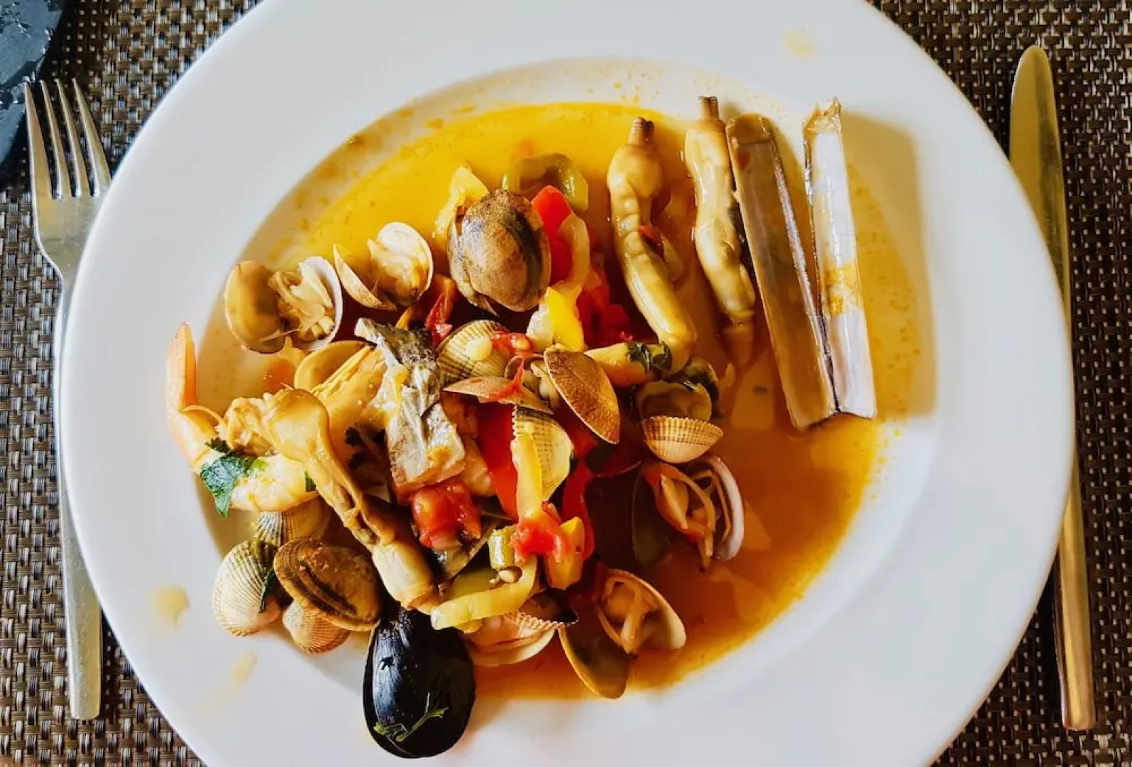 Gato Preto de Silves