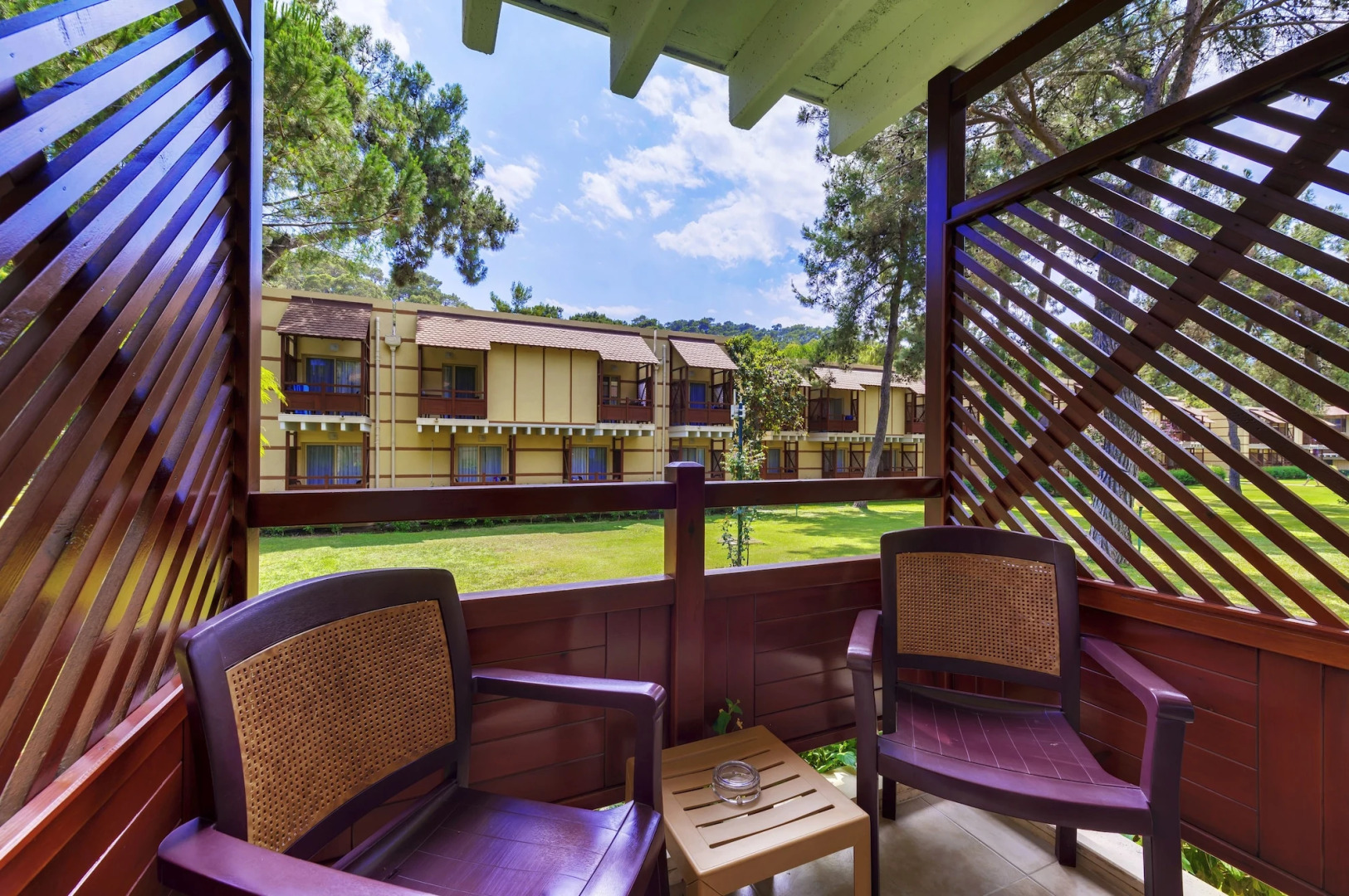 Robinson Camyuva - Adults only