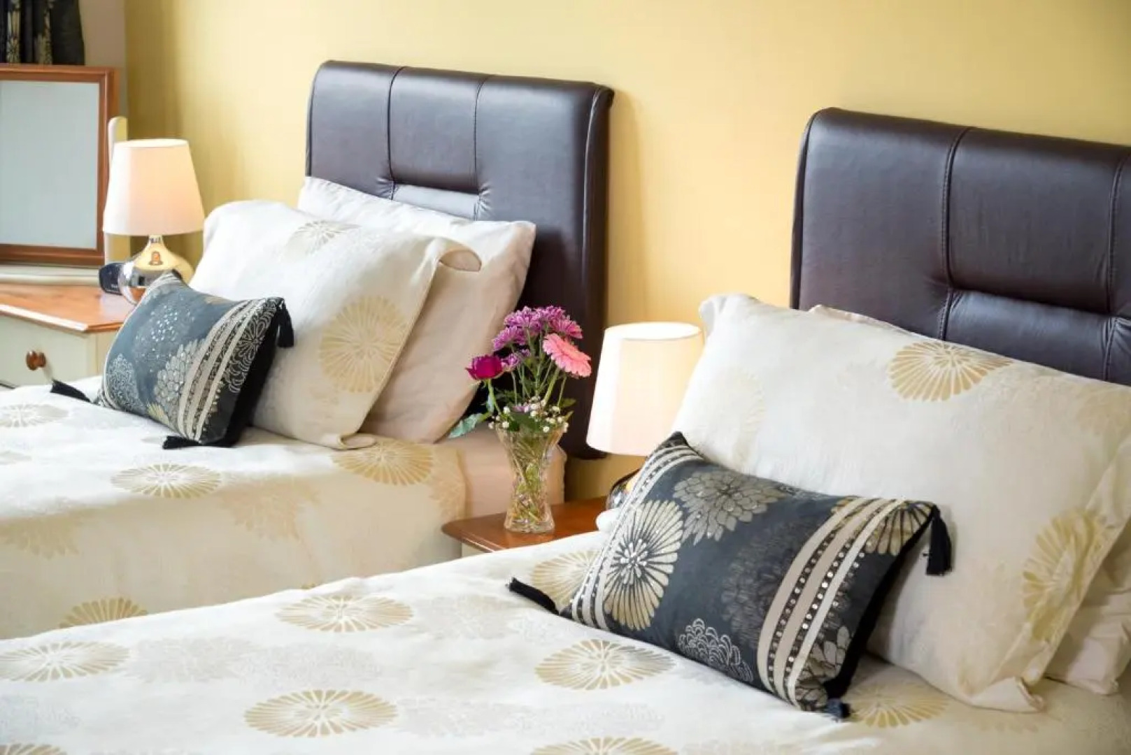 Meadow View Bed  Breakfast