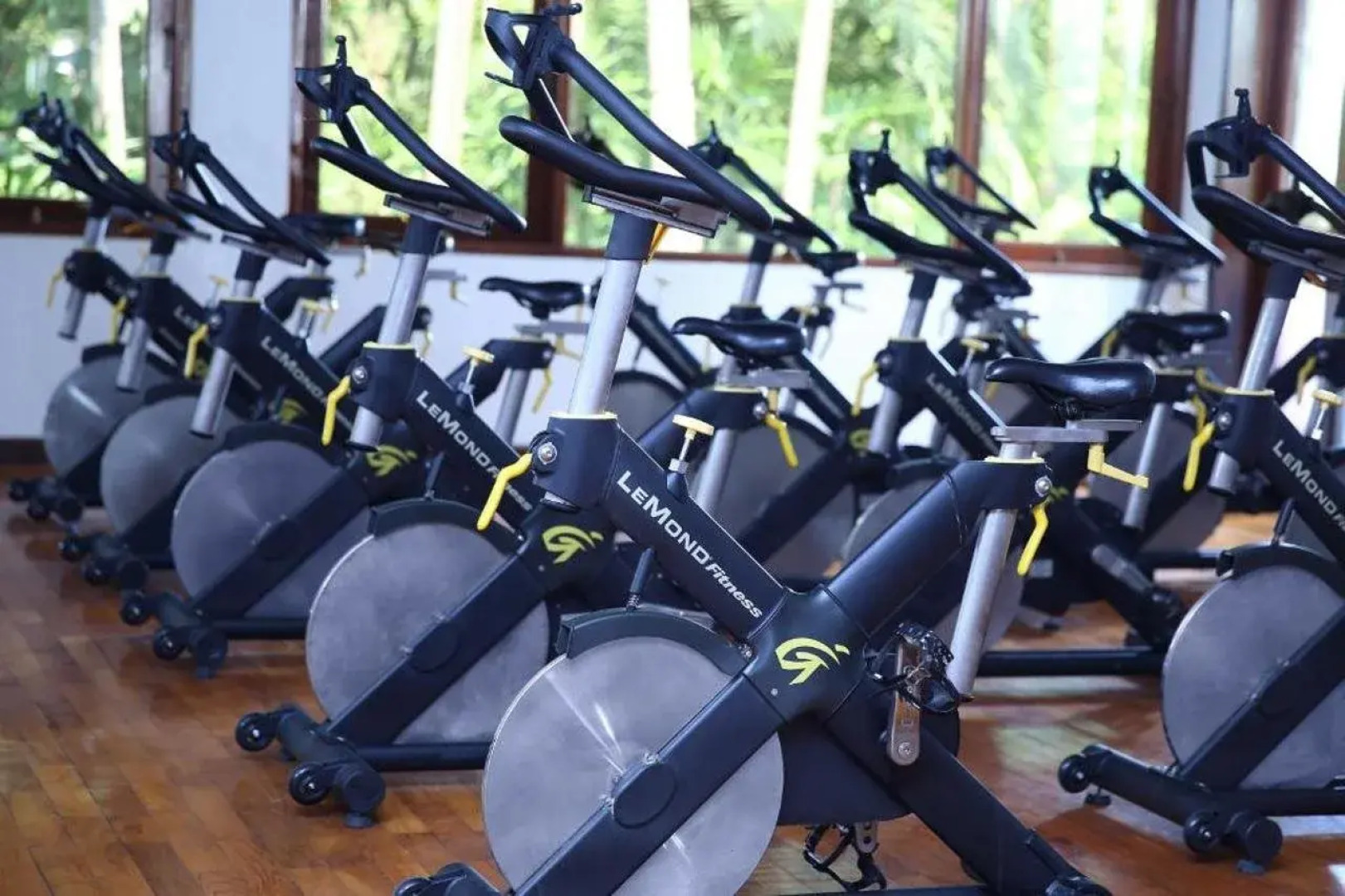 Aryaduta Lippo Village