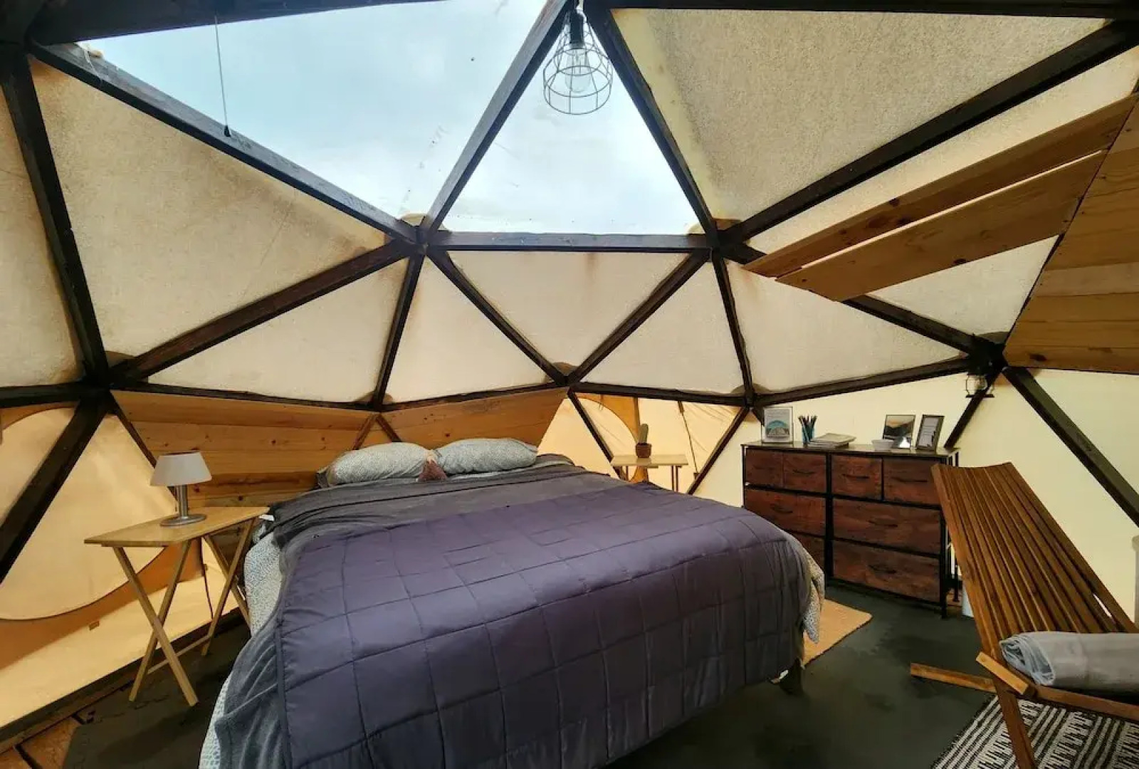 Raptor Ranch Little Owl 1