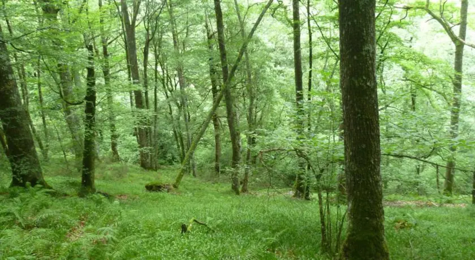 Hotel Torre de Tuña