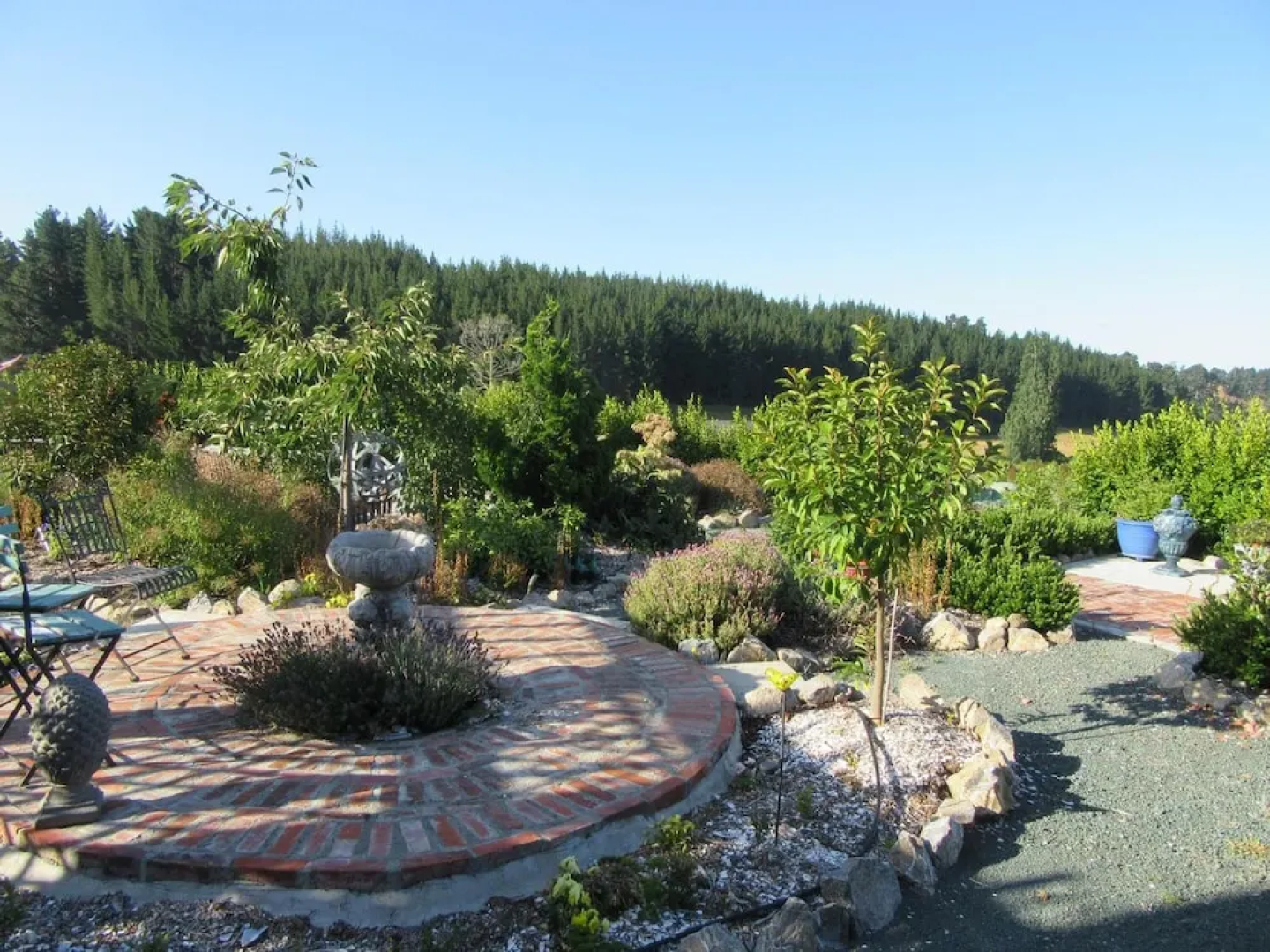 Redwood Valley B & B