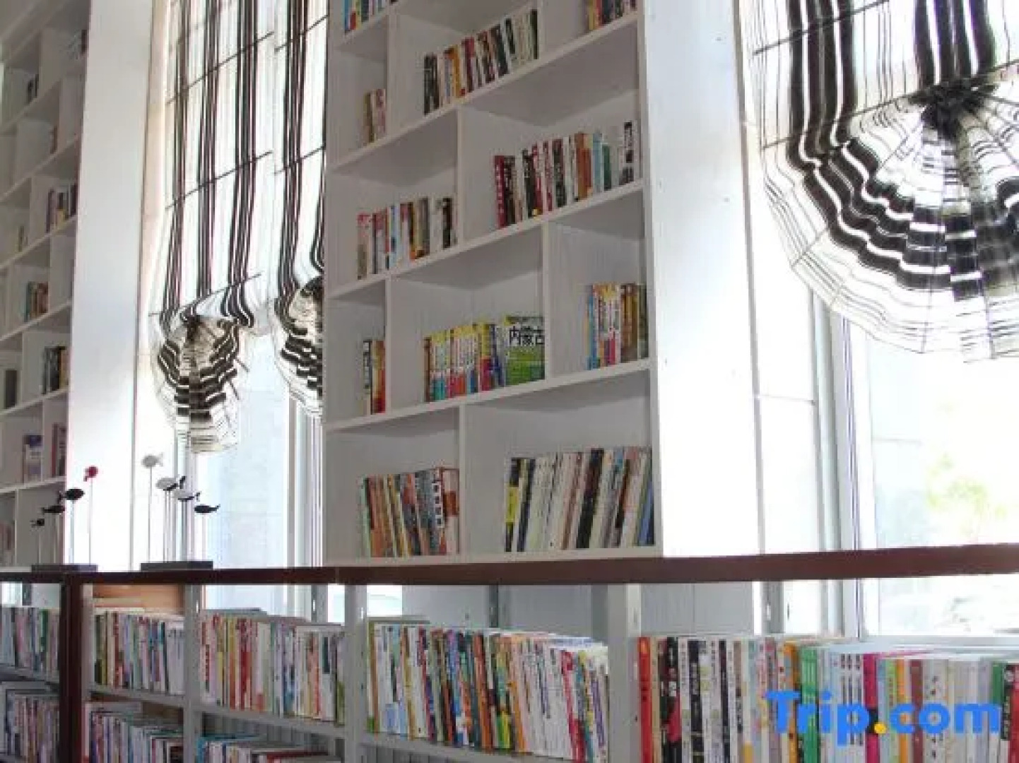 Xingtai Phoenix Hotel