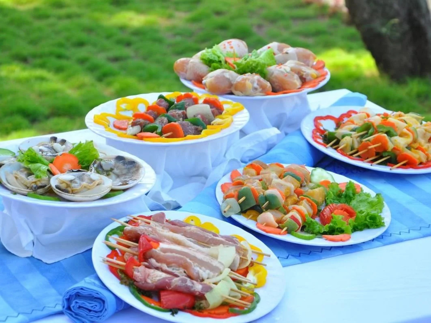 TTC Resort Premium Doc Let