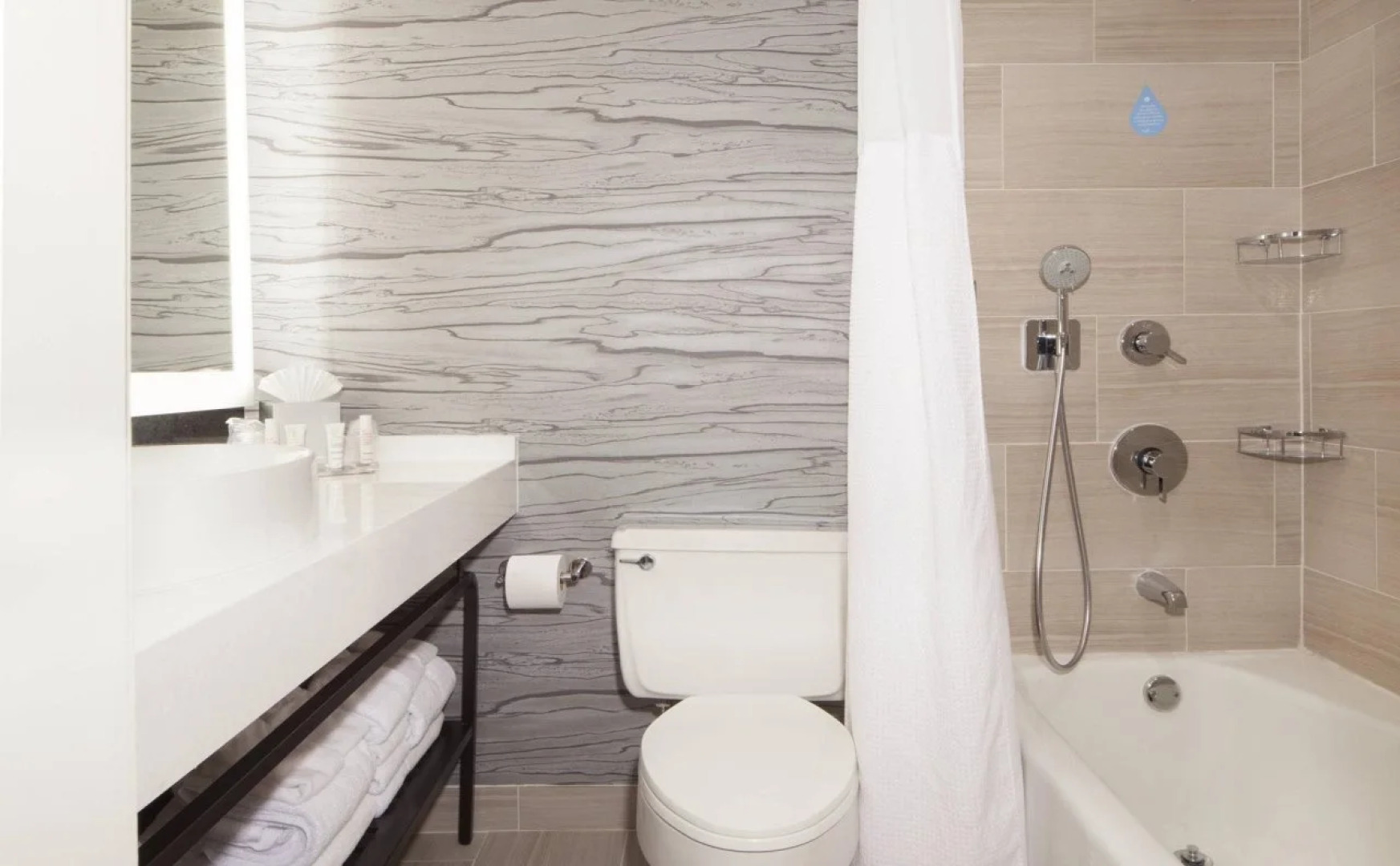 Dallas/Fort Worth Airport Marriott