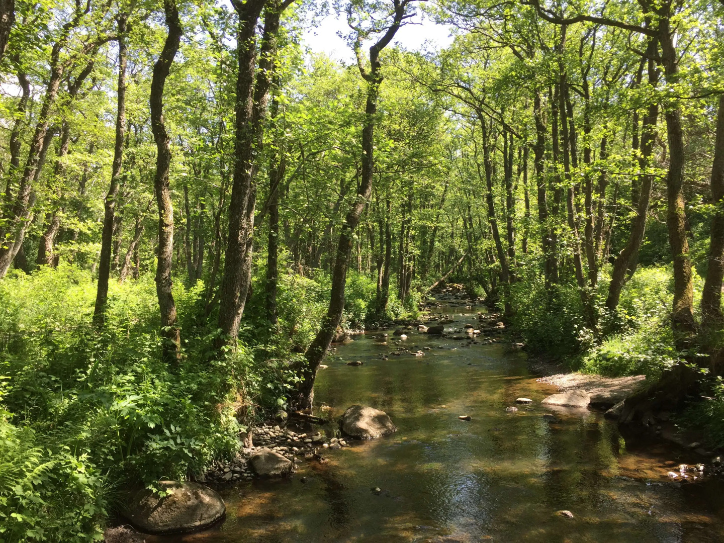 Tyleback Hotell & Konferens, BW Signature Collection