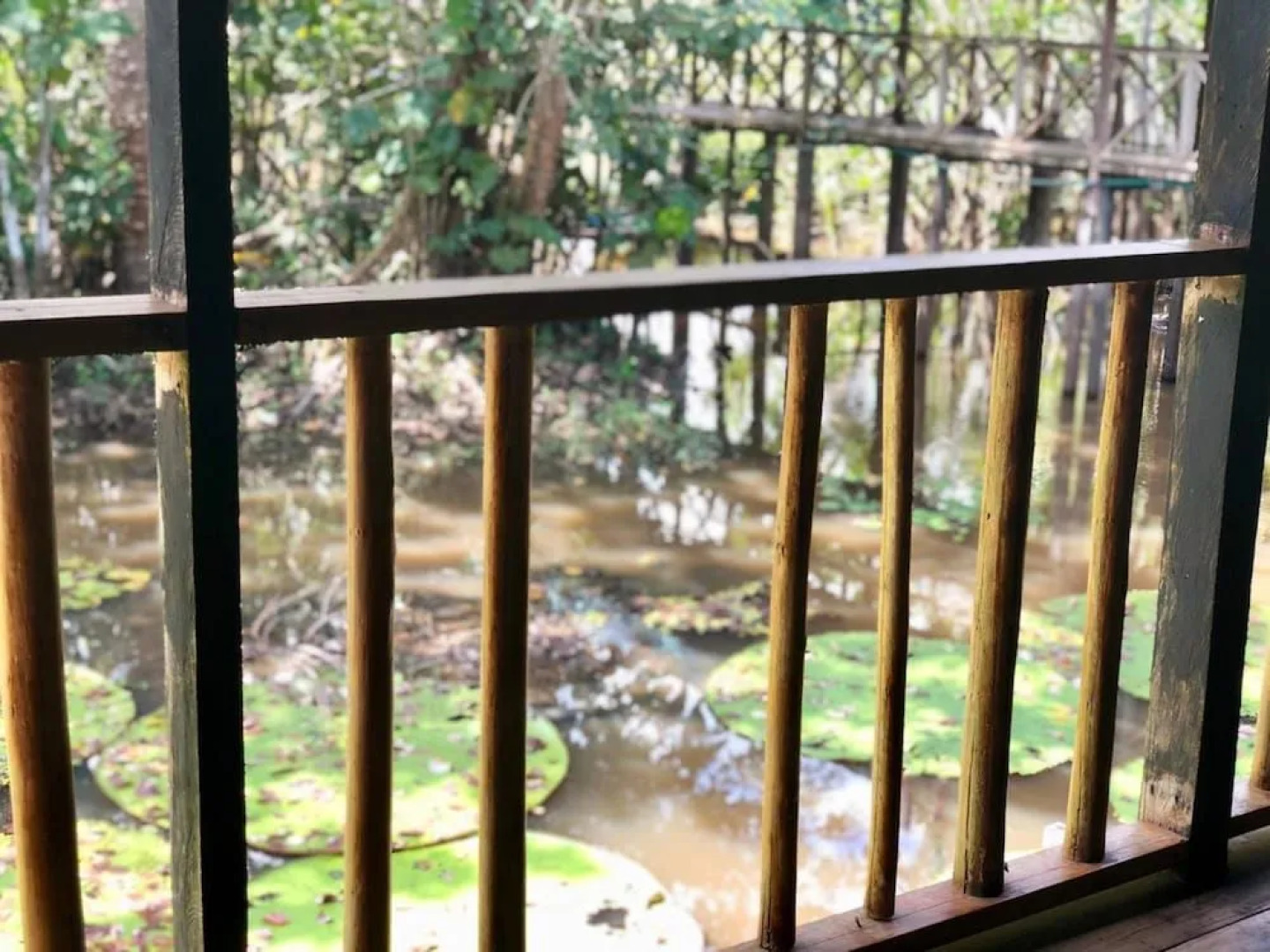 Hotel Madreselva Rio