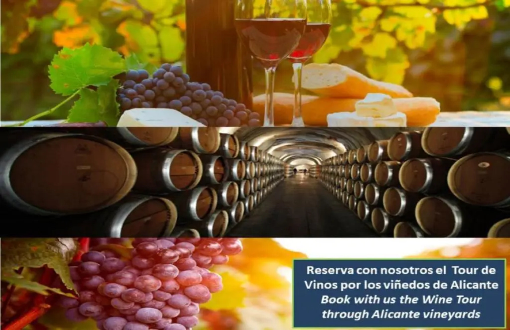 Fidalsa Guardamar Resort