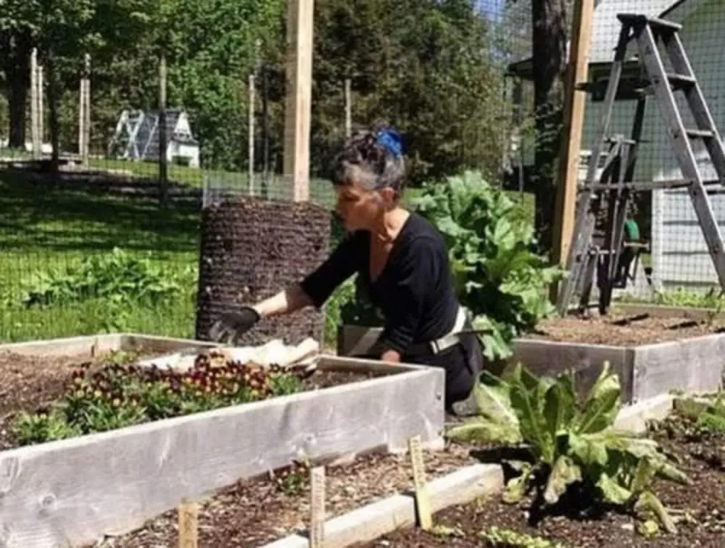 Arbor Bed & Breakfast