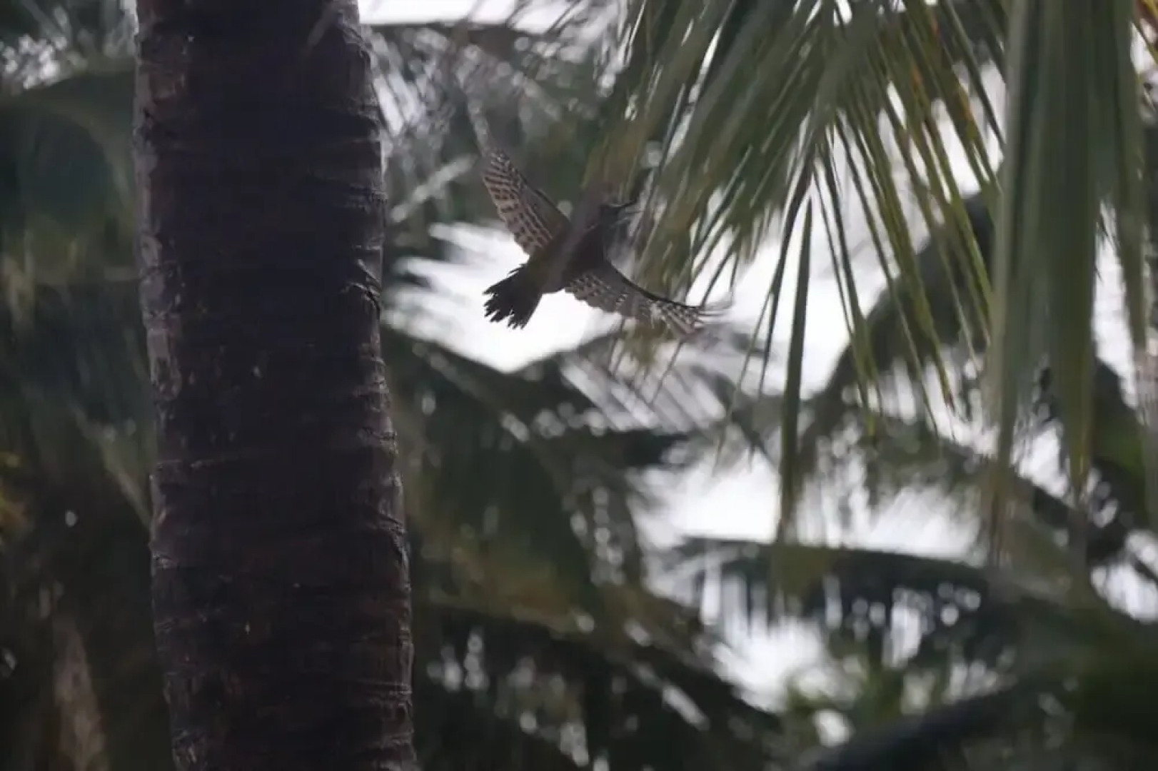 REFUGIO Sabaneta de Yásica