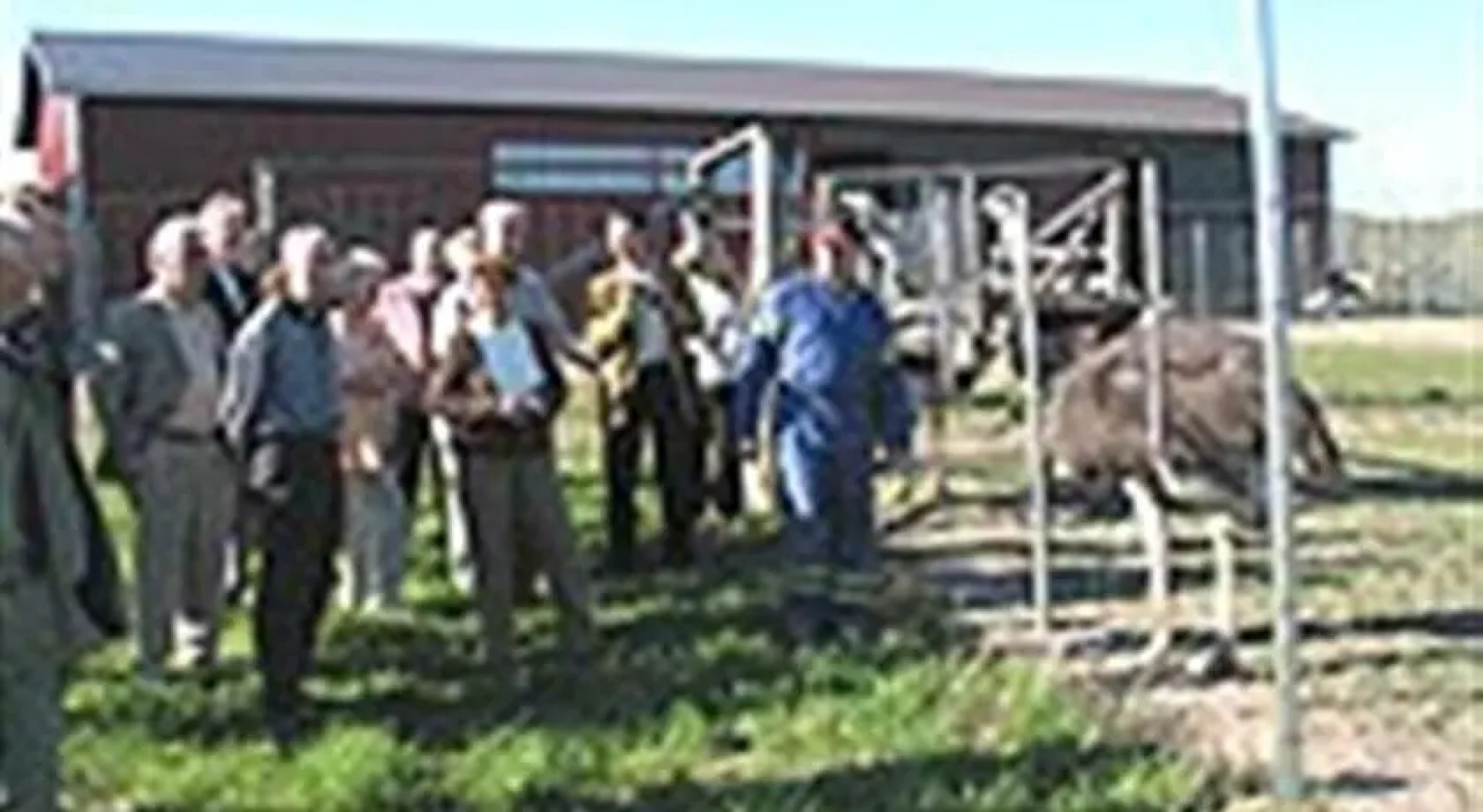 Ketolantilan Majoitus