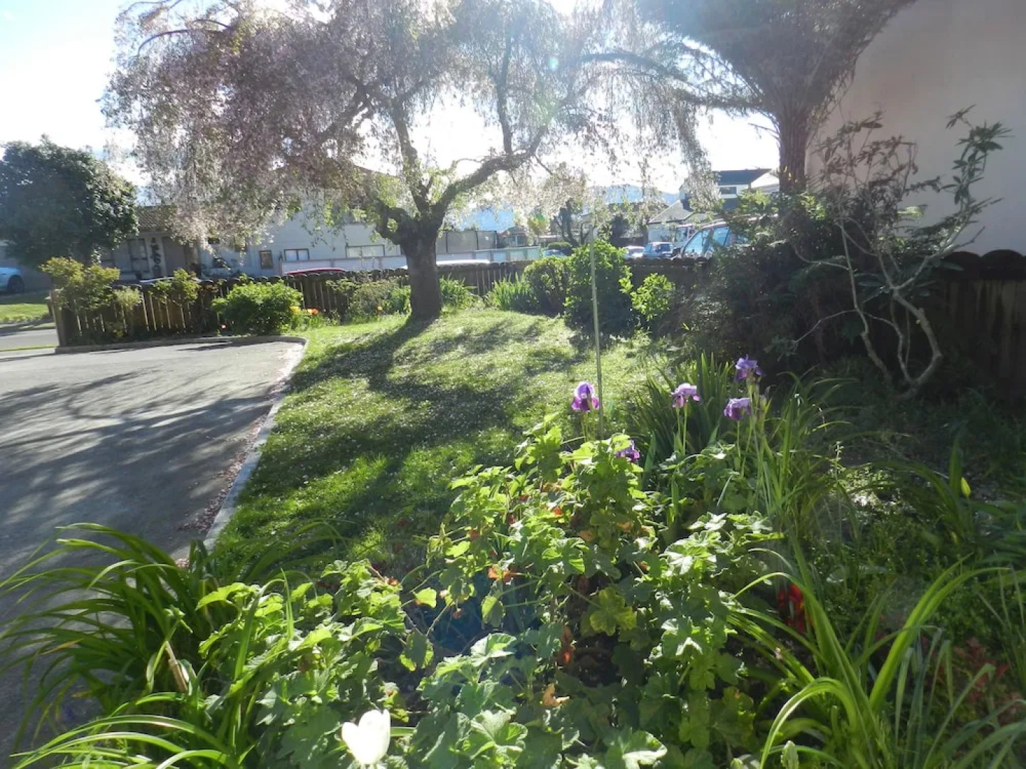 Fairway View Holiday Home - Motueka