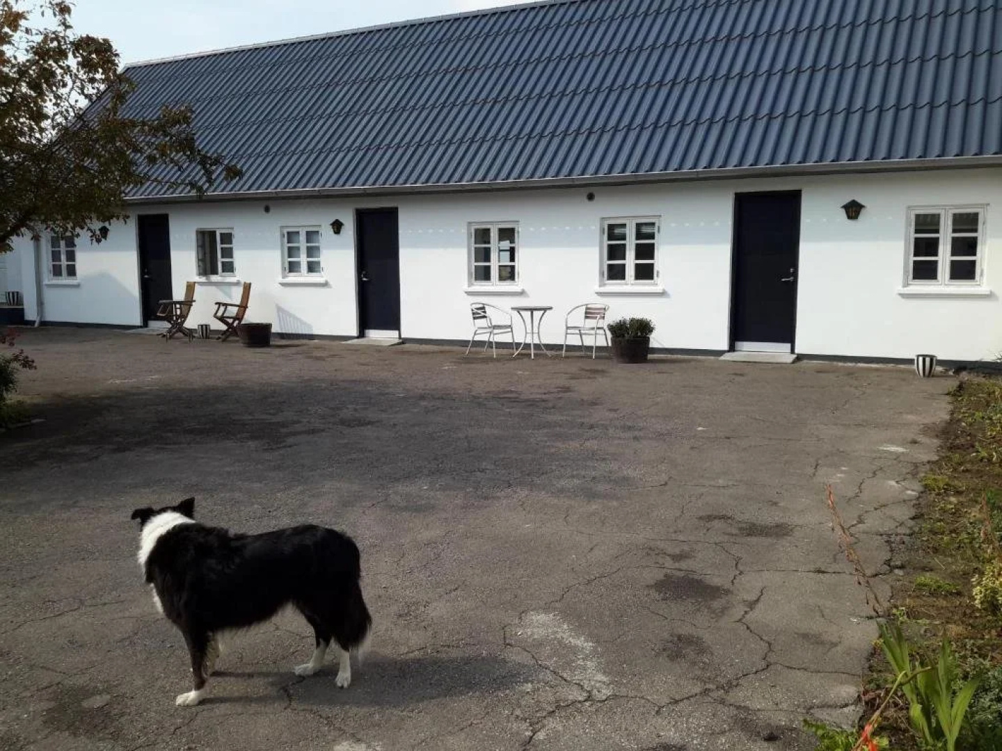 Engly Bed & Breakfast
