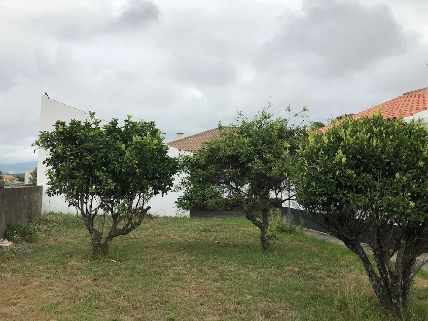 House With 2 Bedrooms in Pico da Pedra, With Wonderful sea View and Enclosed Garden Near the Beach