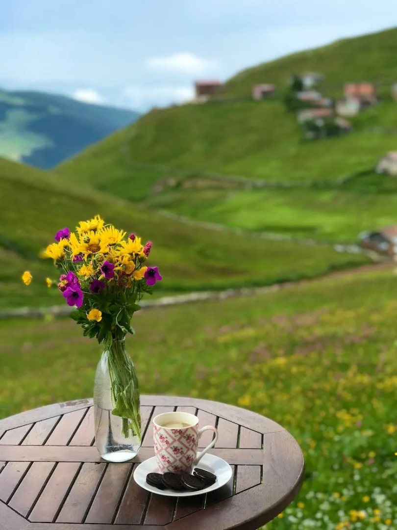 Karester Villa Apart