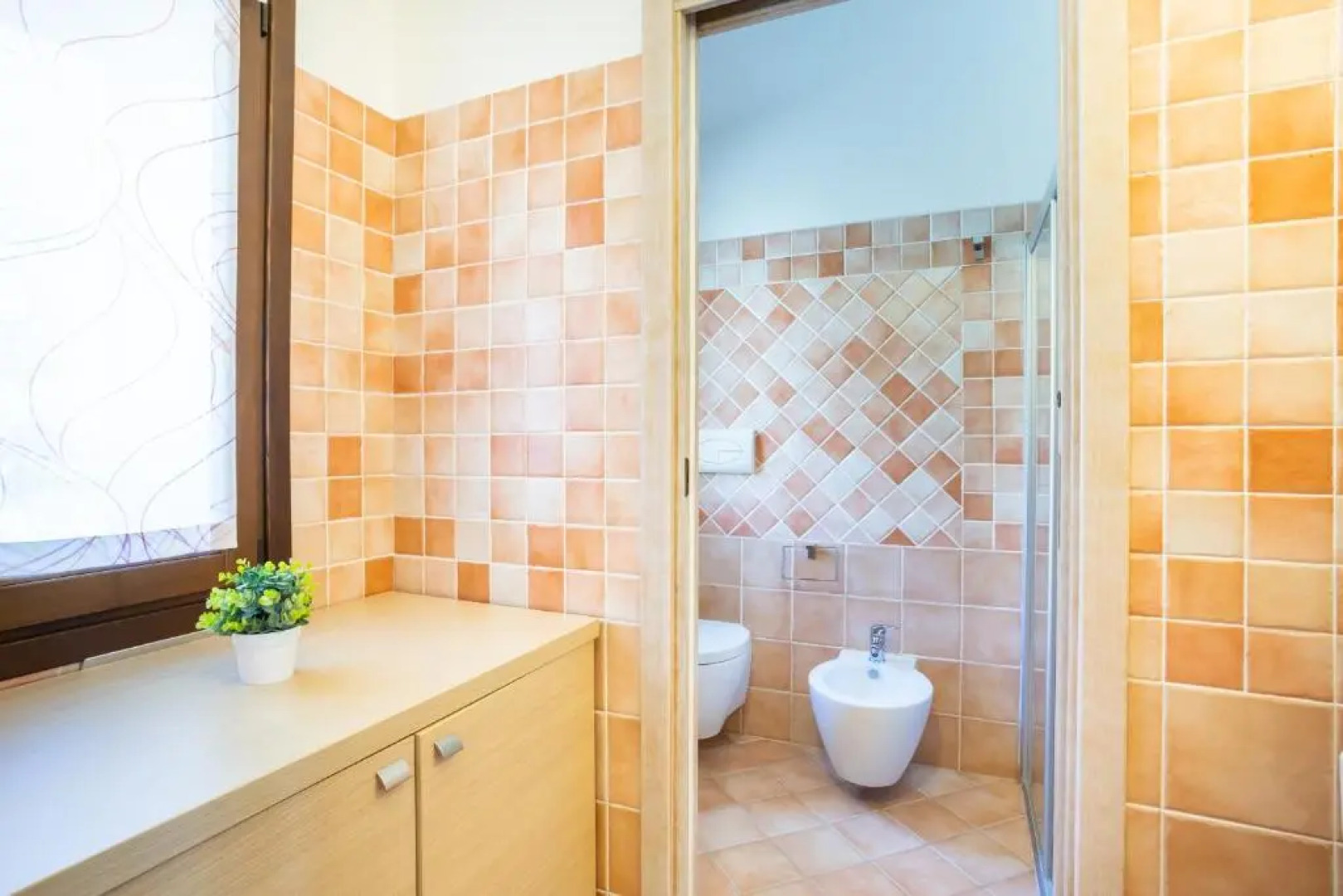 Welcomely - Dei Mille - La vigna 3