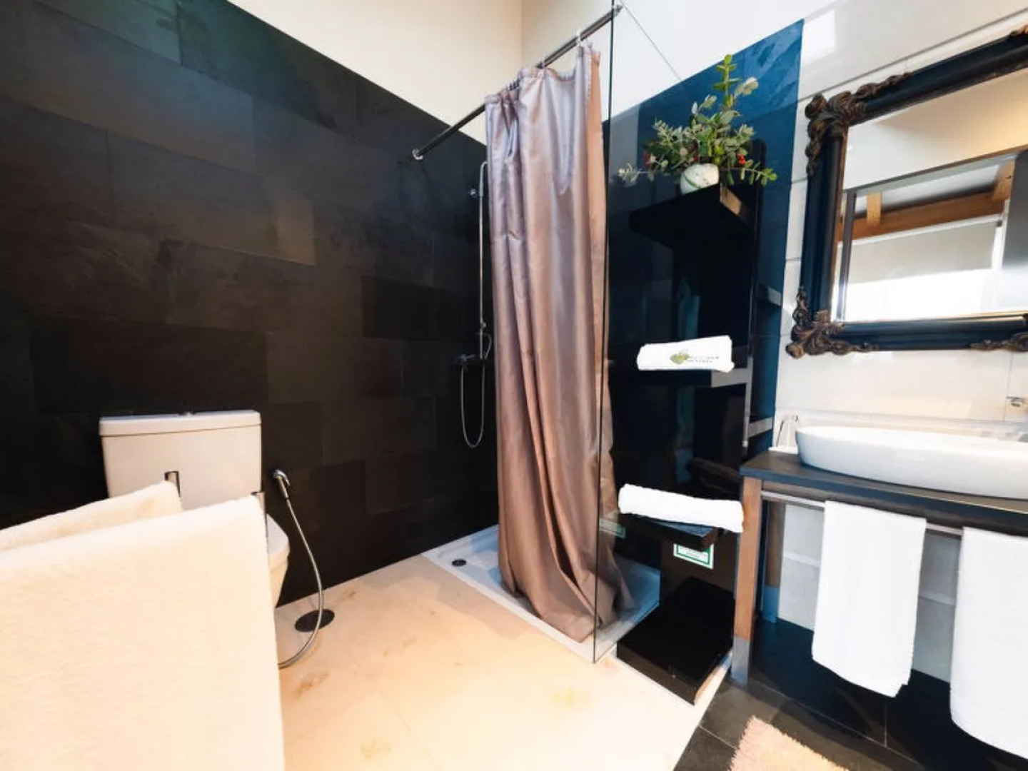 Conceição (NZE221)