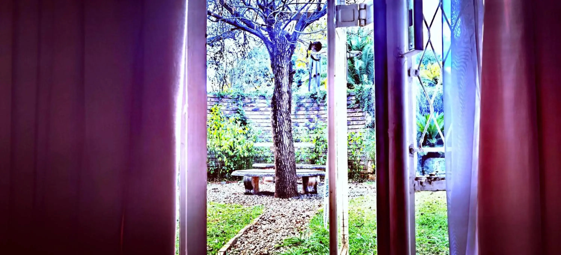 Die Gastehuis/The Guesthouse