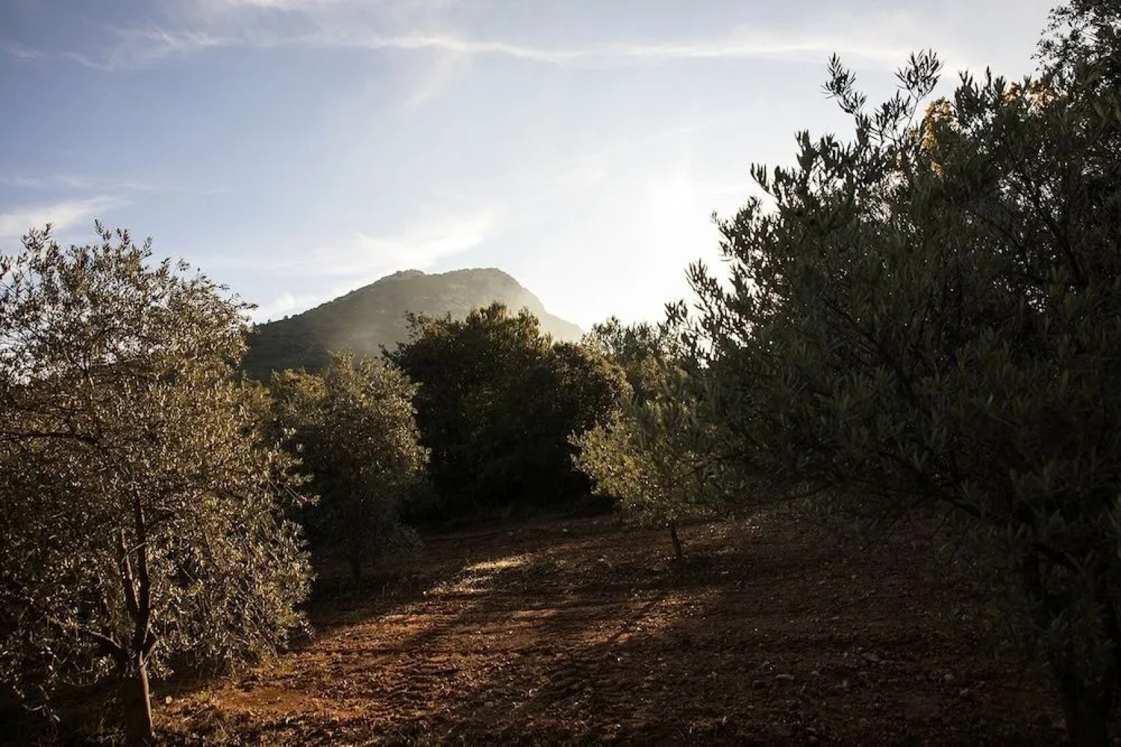 Domaine de Villemus - La Chambre d'hôte
