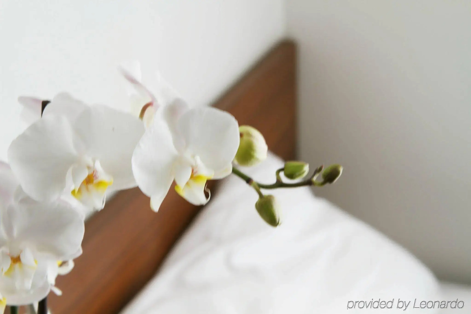 Smarthotel Tromso