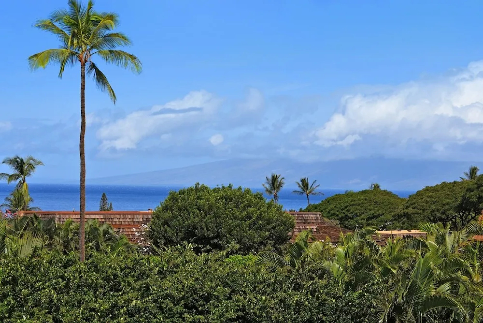 Kaanapali Plantation #59 by RedAwning