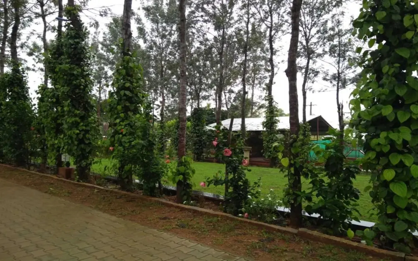 Sharmada Hidden Nest Resort