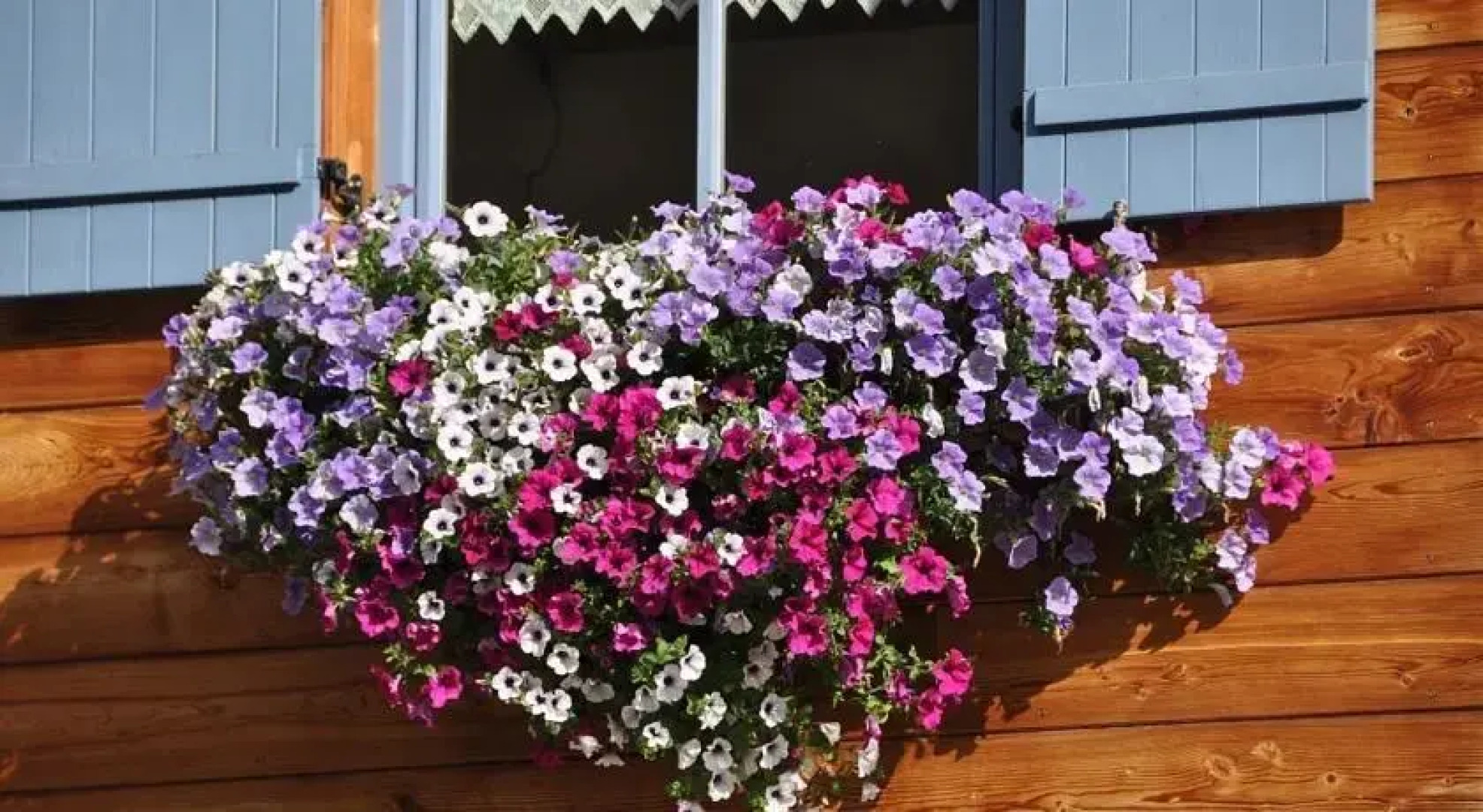 KräuterFewo Alexandra