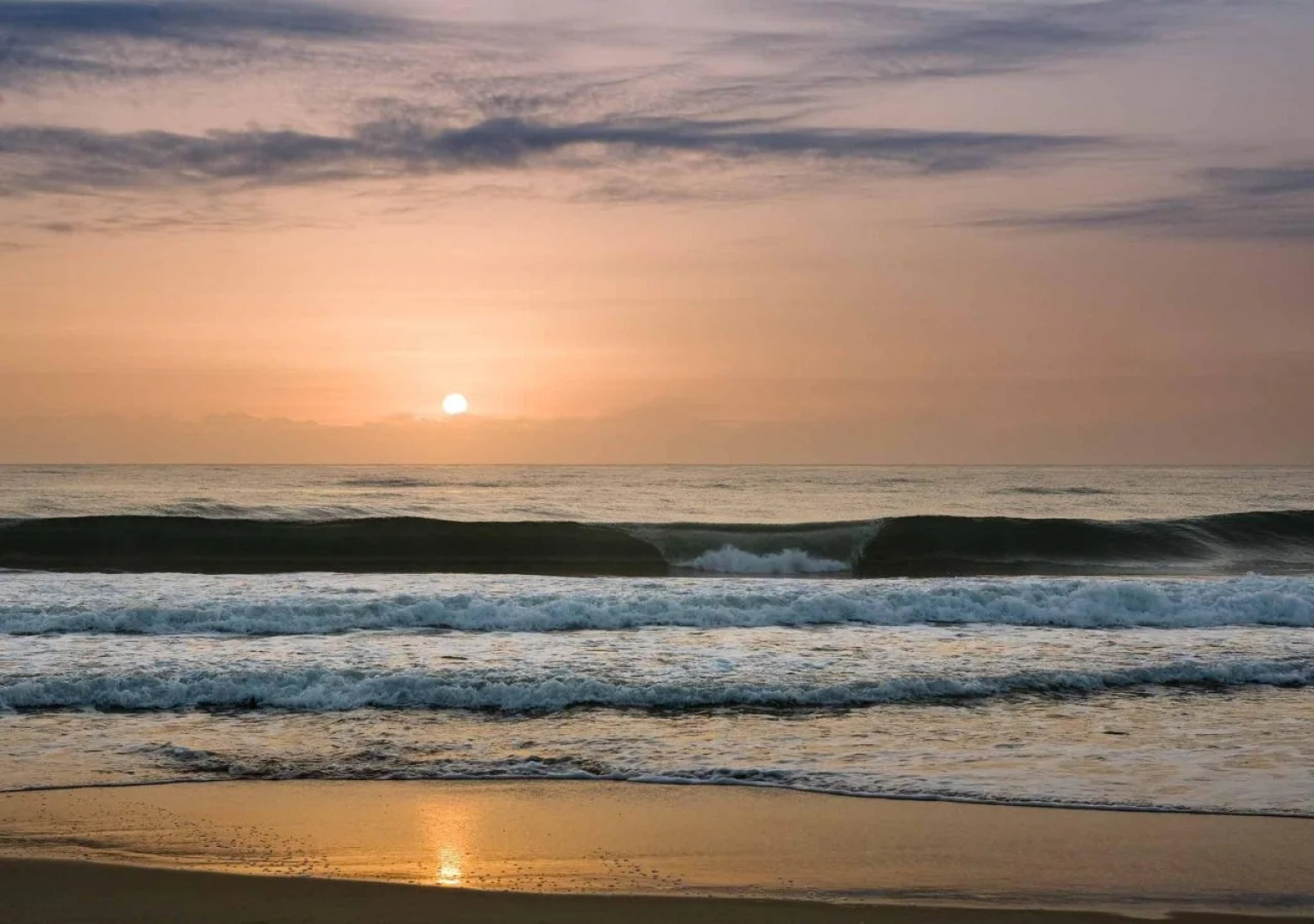 The Sebel Twin Waters