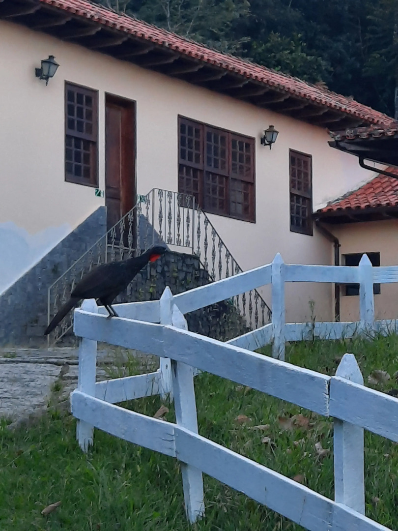 Pousada Arara Valença - RJ