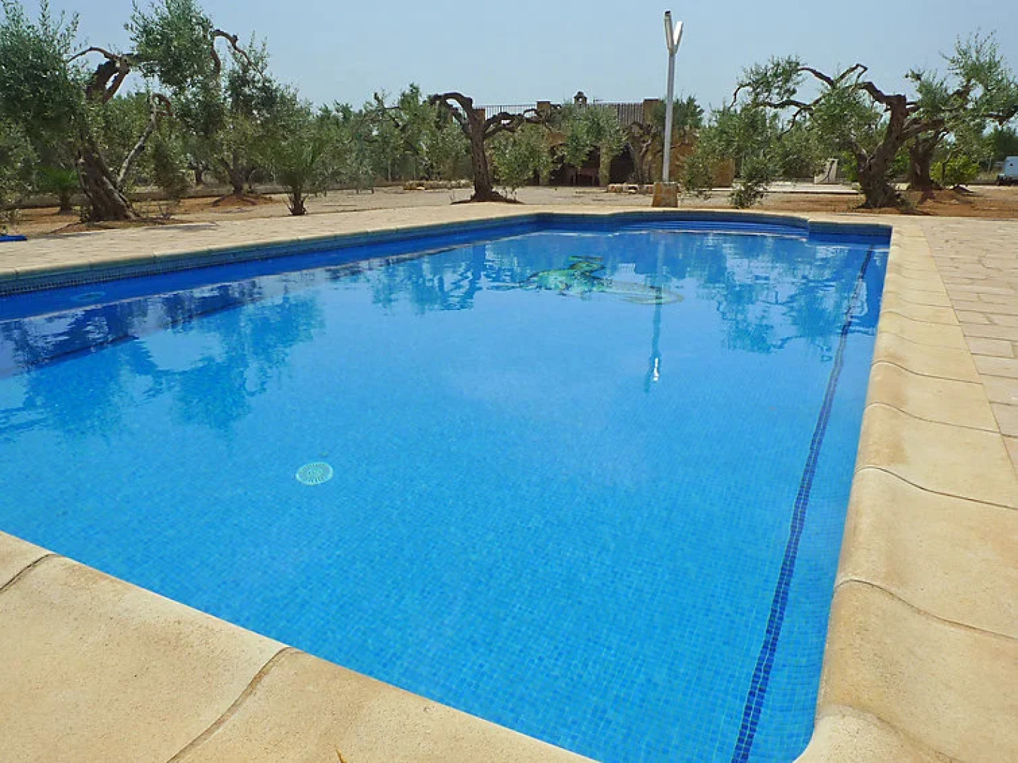 Holiday Home Diseminat