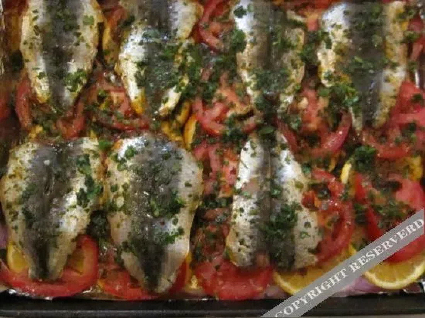 House of Fusion Marrakech