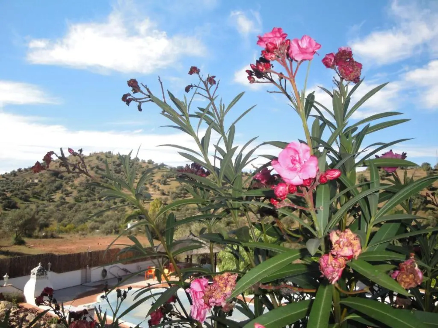 Casa El Corasueño b&b