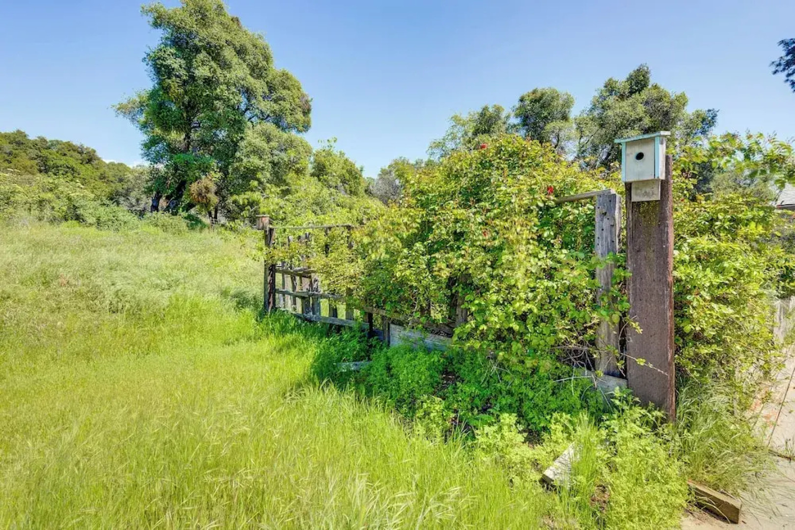 Serene Mariposa Sanctuary ~ 20 Mi to Yosemite