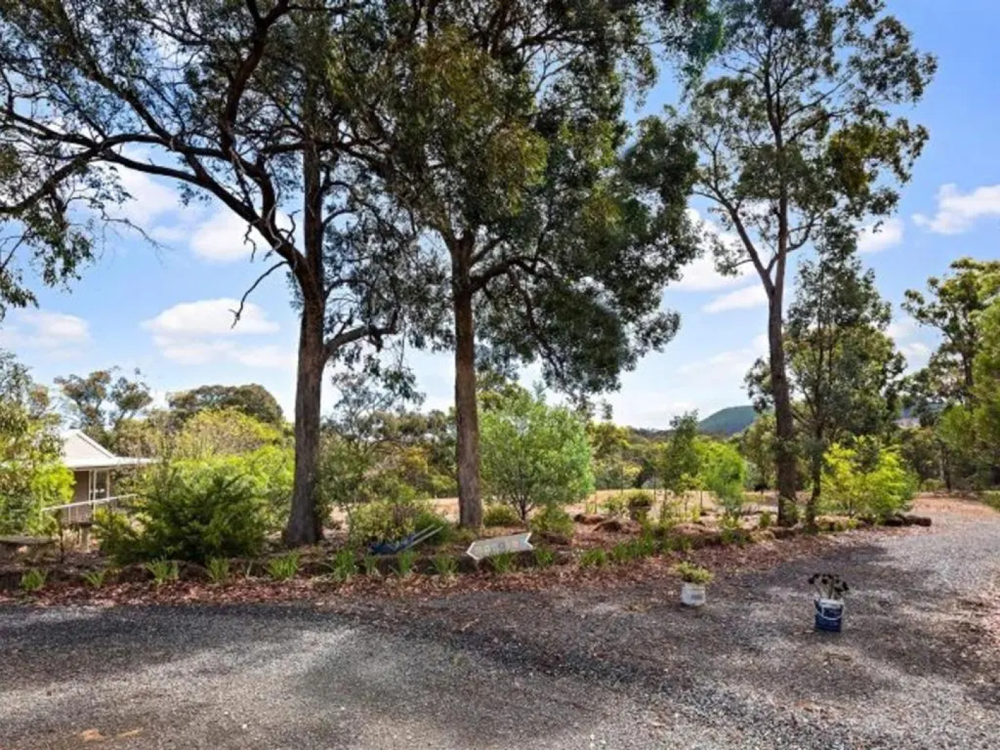 Margies on Mt Franklin