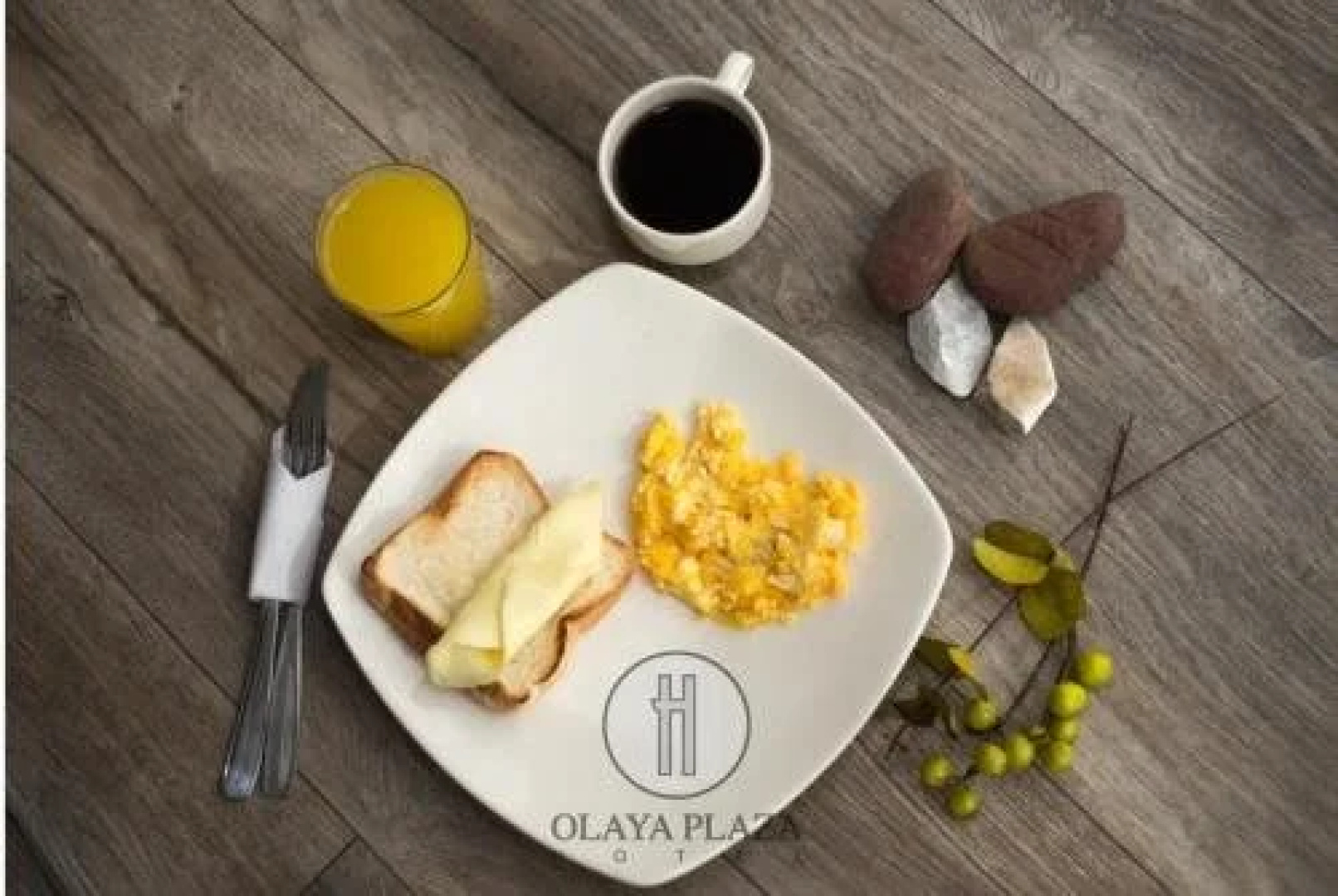 Olaya Plaza Hotel