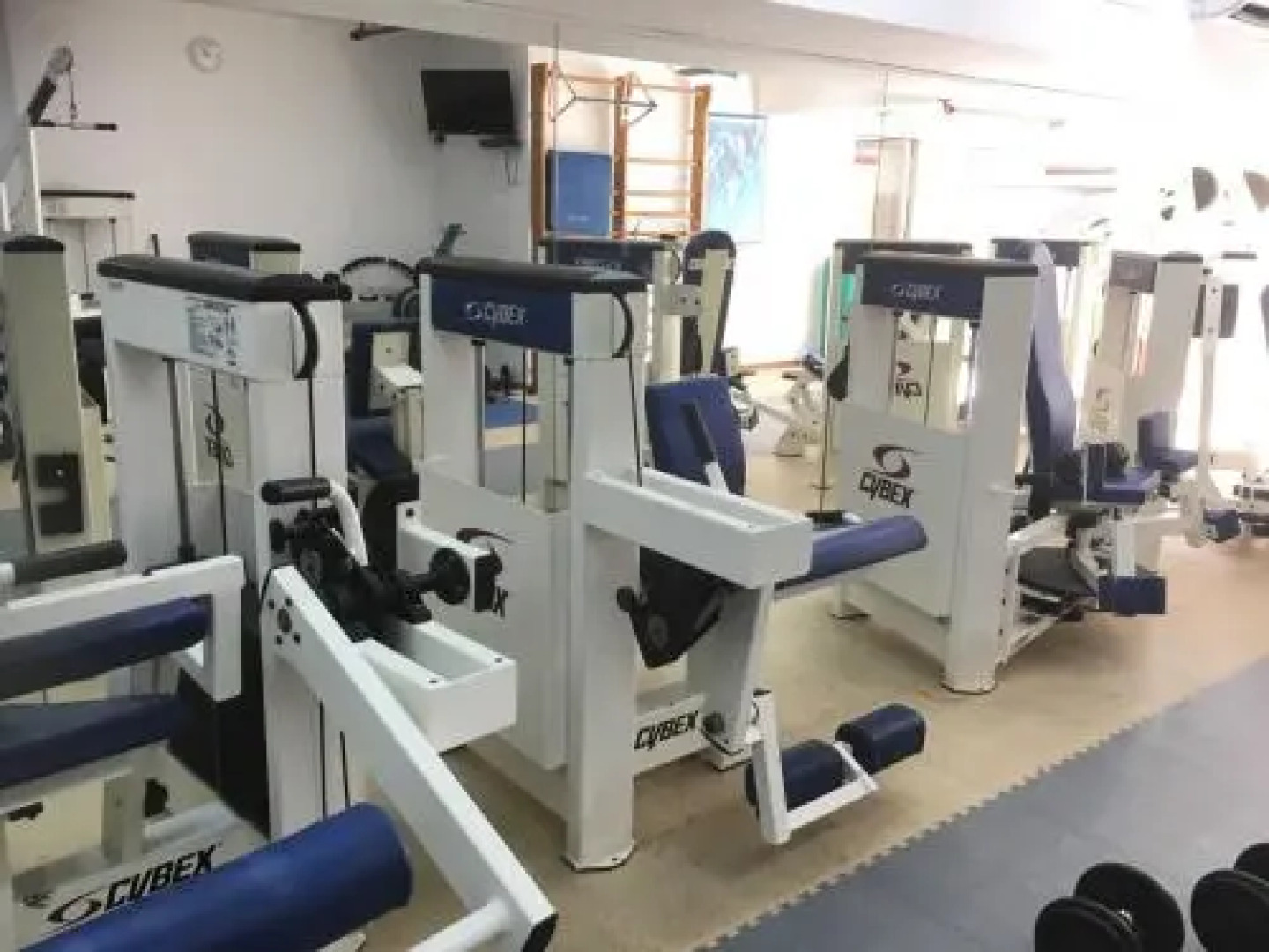 Last Minute Herzliya