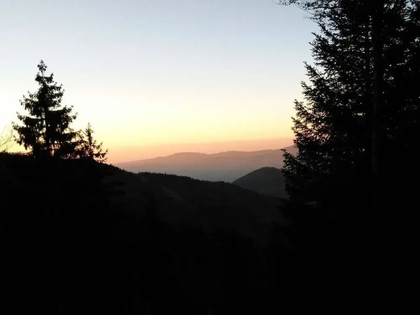 Holiday Apartment Tannenblick